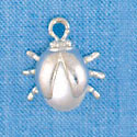 C2663 - Ladybug - Clear Acrylic - Silver Charm